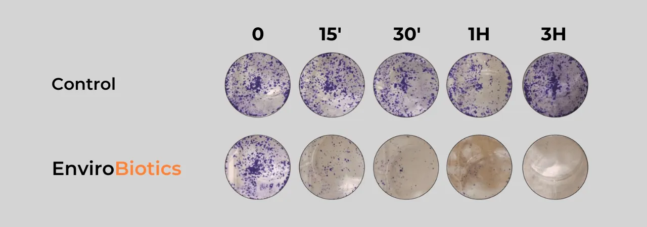 ENVIROBIOTICS effect on COVID-19 persistence